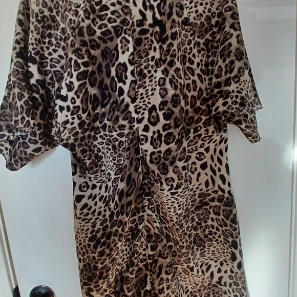 A Dip of Darling Animal Print High Low Top - Picture 3 of 5